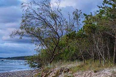 Major Institutions Propel Bitcoin to $91K, Ethereum & Ontology Reshape Crypto: The Breakthroughs Unfolding & What's Next for Us All