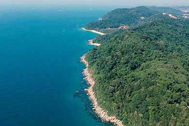 Avelo Airlines: Unlocking New Destinations and Redefining Your Travel Experience